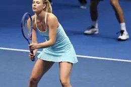 库里巅峰对决，莎拉波娃与40激战湖人分钟，回归赛场胜负难料！的简单介绍